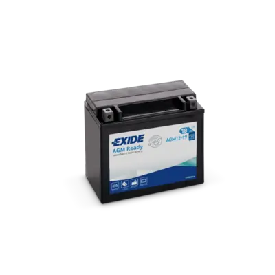Starter Battery