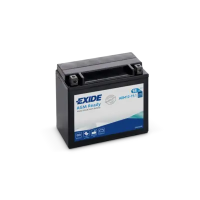 Starter Battery