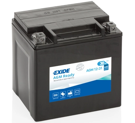 Starter Battery