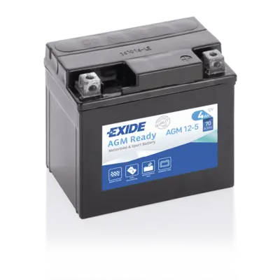 Starter Battery