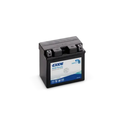 Starter Battery