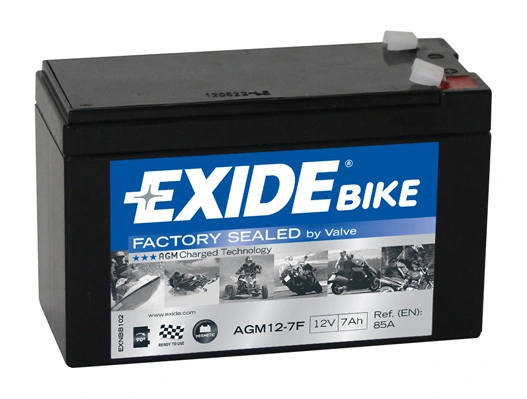 Starter Battery