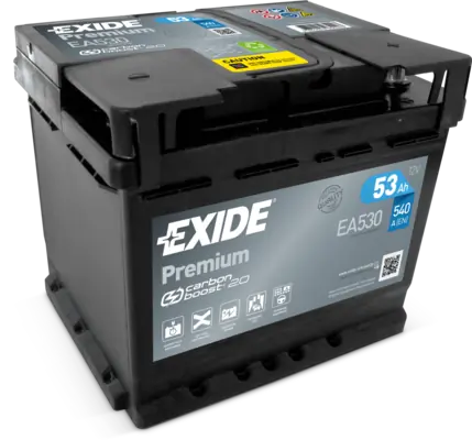 Starter Battery