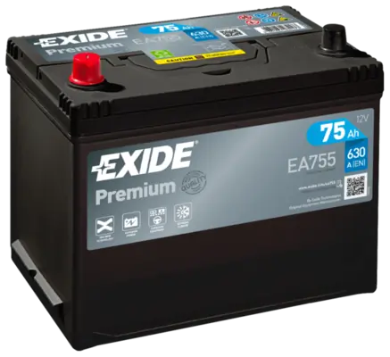 Starter Battery