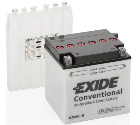 Starter Battery