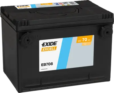Starter Battery