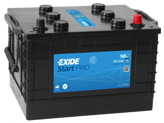 Starter Battery