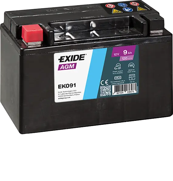 Starter Battery