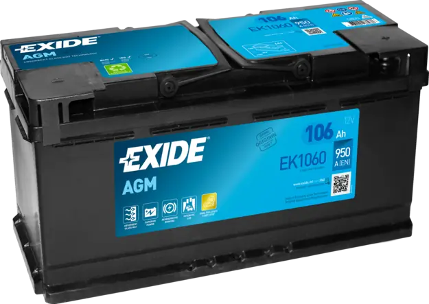 Starter Battery