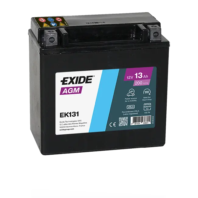 Starter Battery