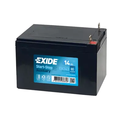 Starter Battery