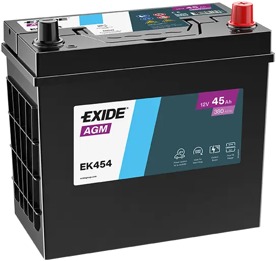 Starter Battery