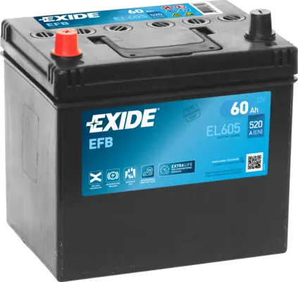 Starter Battery