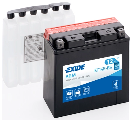 Starter Battery