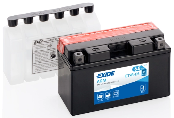 Starter Battery