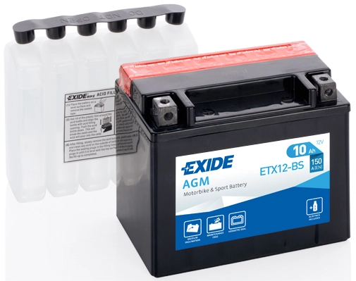 Starter Battery