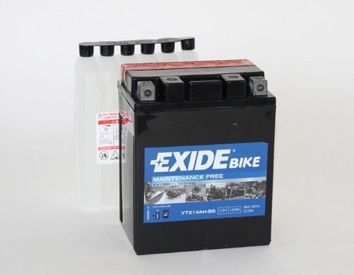 Starter Battery