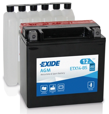 Starter Battery