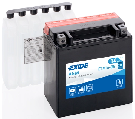 Starter Battery