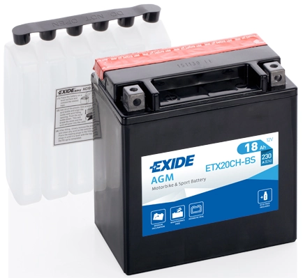 Starter Battery
