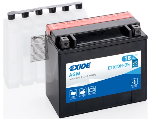 Starter Battery