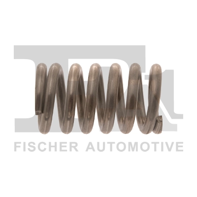 Spring, muffler