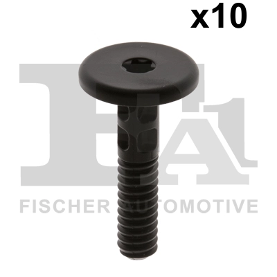 Clip, trim/protection strip