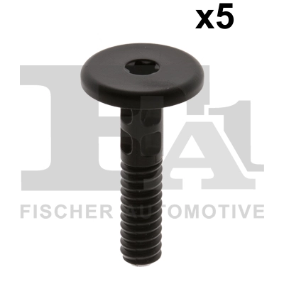 Clip, trim/protection strip