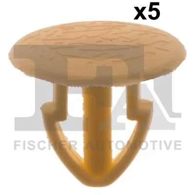 Clip, trim/protection strip