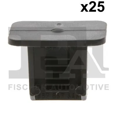 Clip, trim/protection strip