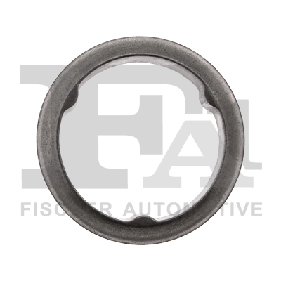 Seal Ring, exhaust pipe