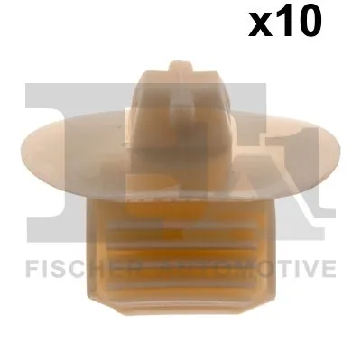 Clip, trim/protection strip