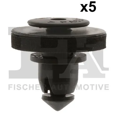 Clip, trim/protection strip