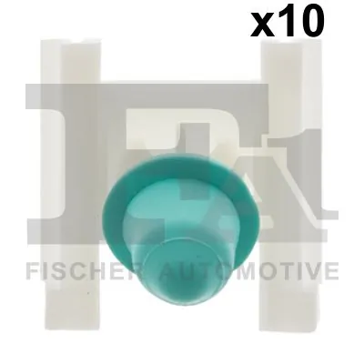 Clip, trim/protection strip