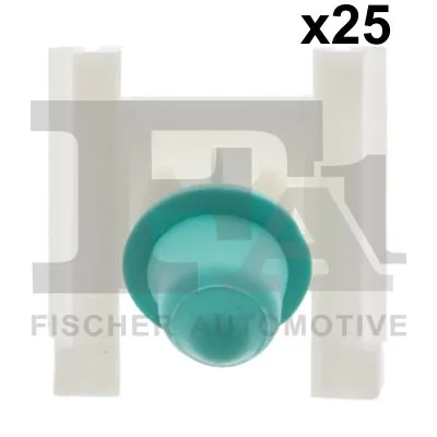 Clip, trim/protection strip