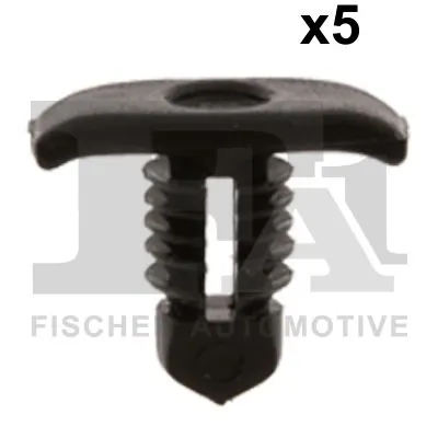Clip, trim/protection strip