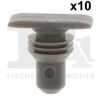Clip, trim/protection strip