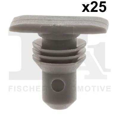 Clip, trim/protection strip