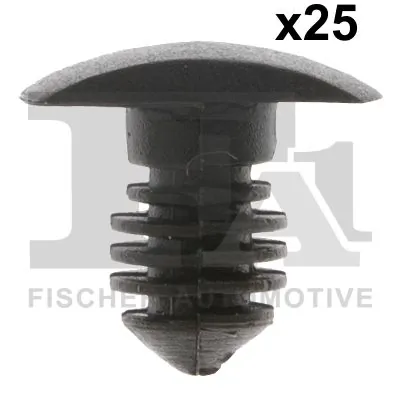 Clip, trim/protection strip