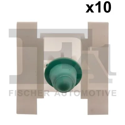 Clip, trim/protection strip
