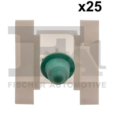 Clip, trim/protection strip