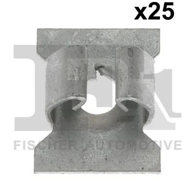 Clip, trim/protection strip