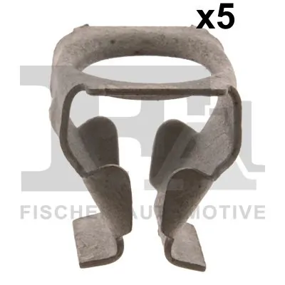 Clip, trim/protection strip