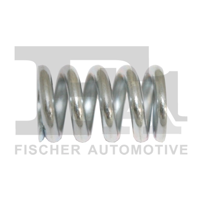 Spring, muffler