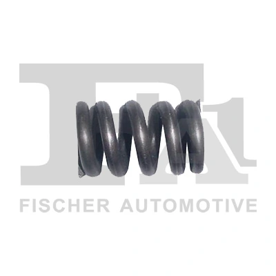 Spring, muffler