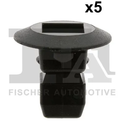 Clip, trim/protection strip