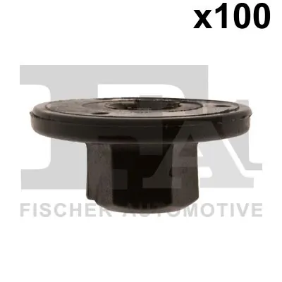 Clip, trim/protection strip