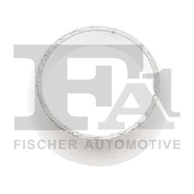 Seal Ring, exhaust pipe