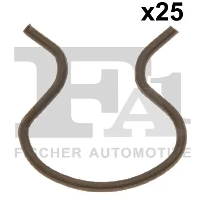 Clip, trim/protection strip