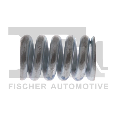 Spring, muffler